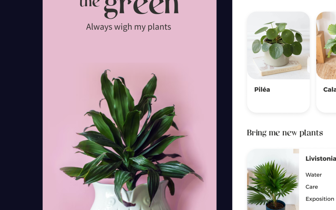 Bring the Green
